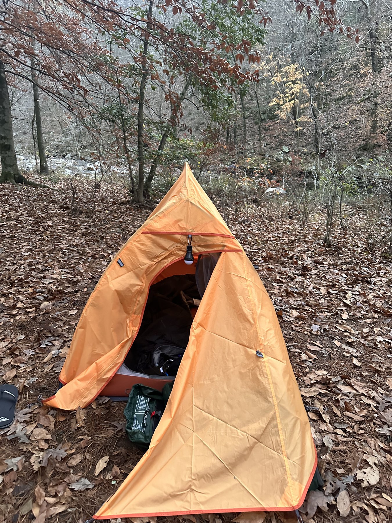 Green tarp shelter strung between trees over a leafy campsite