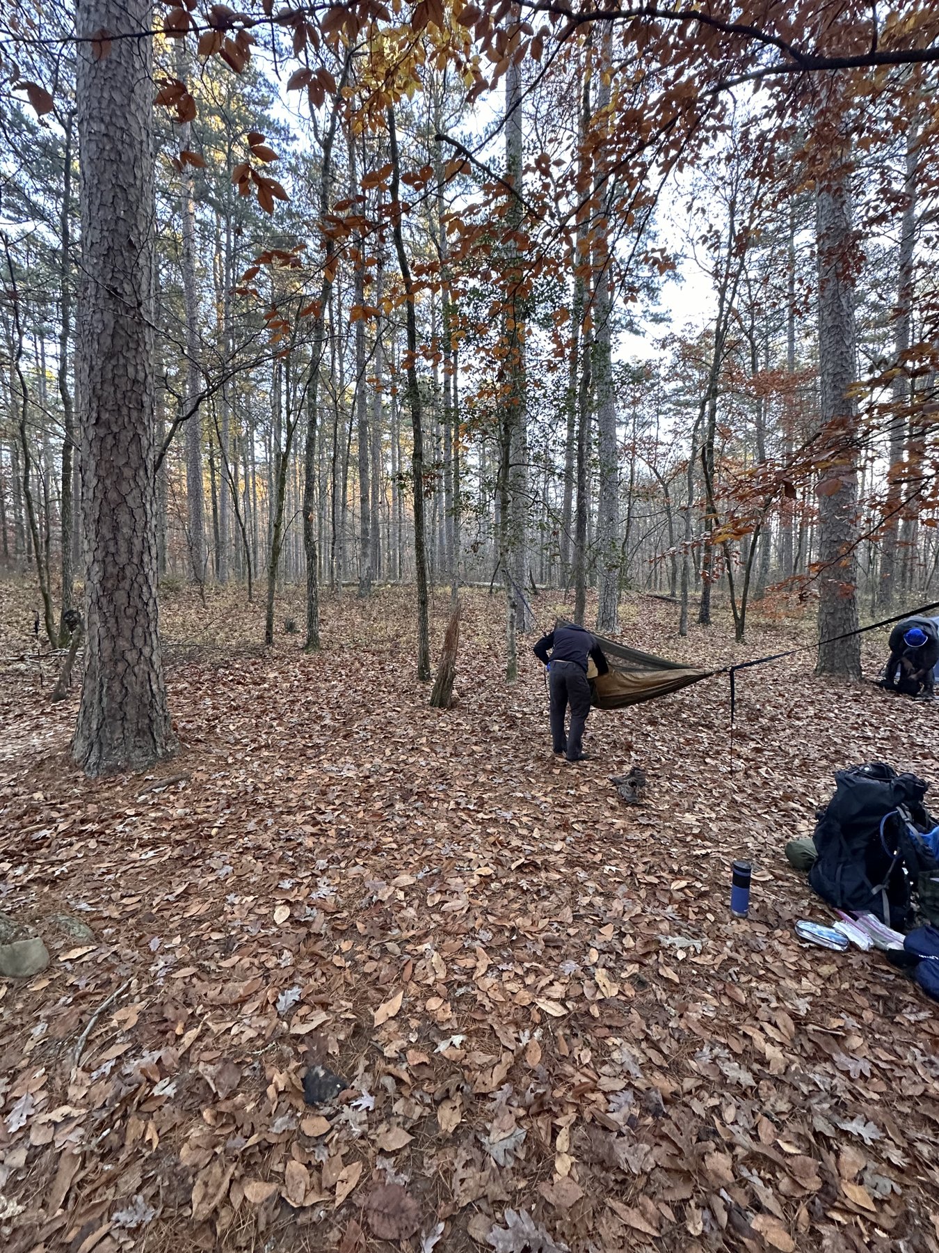 Group campsite with tents and a small fire in the woods