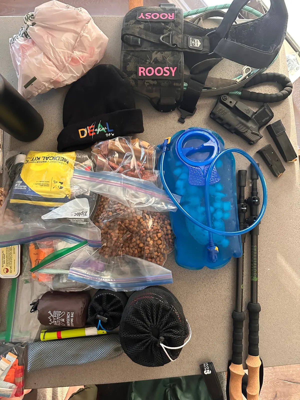 Beanie, dog harness, hydration bladder, trekking poles, and sidearm