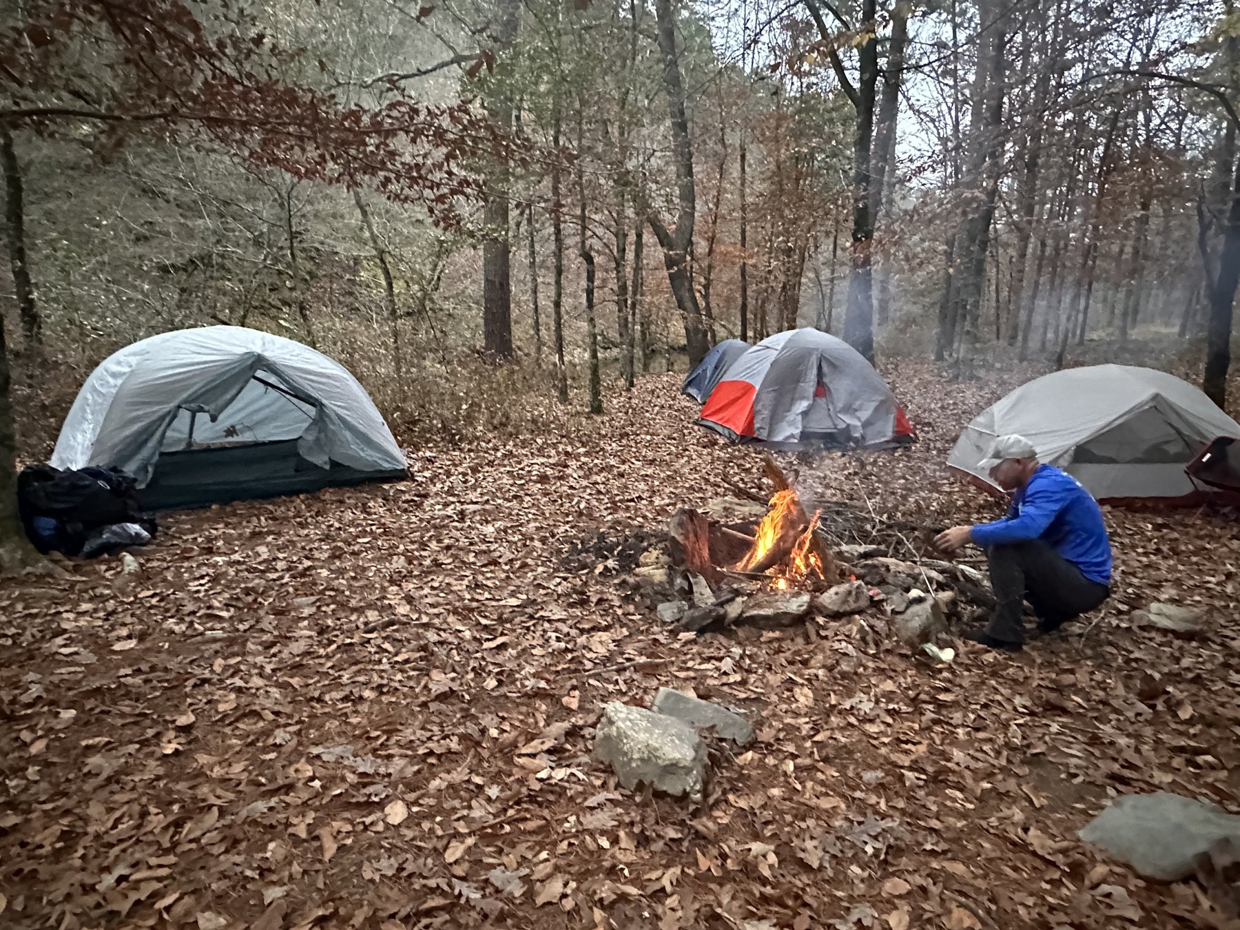 Orange one-person tent under bare trees