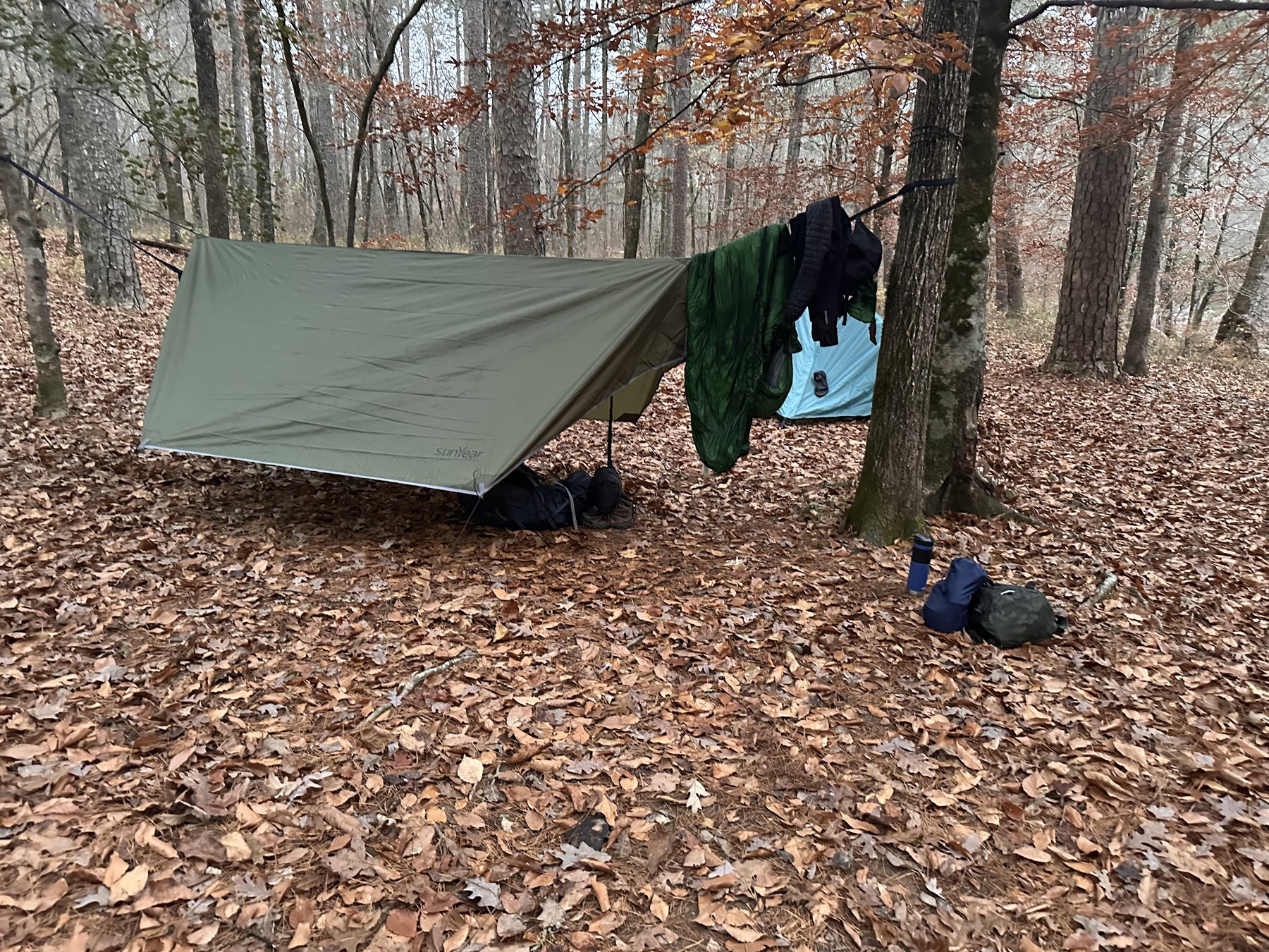Backpacking tents pitched among autumn leaves