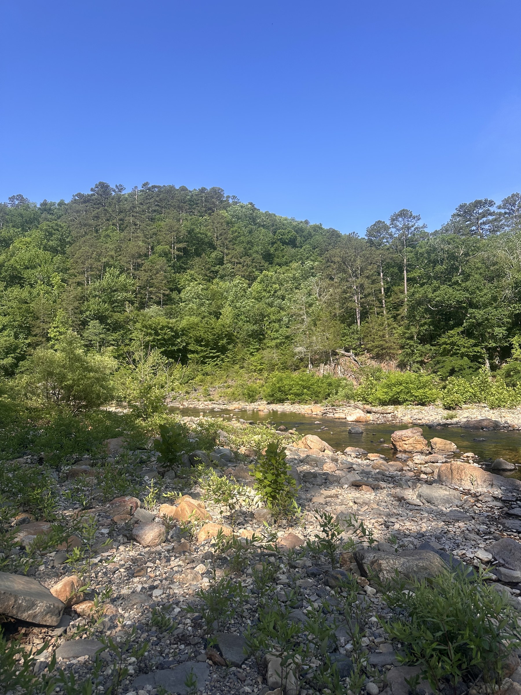Long view over rolling green Ouachita ridges under deep blue sky
